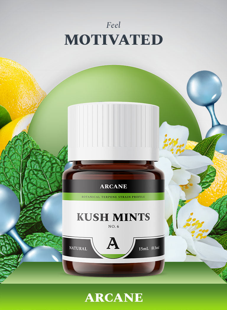 Arcane Aromatics Kush Mints Natural Botanical Terpene Strain Profile. Sativa Hybrid Cannabis Centric Natural Terpenes. Arcane: Live Terpenes