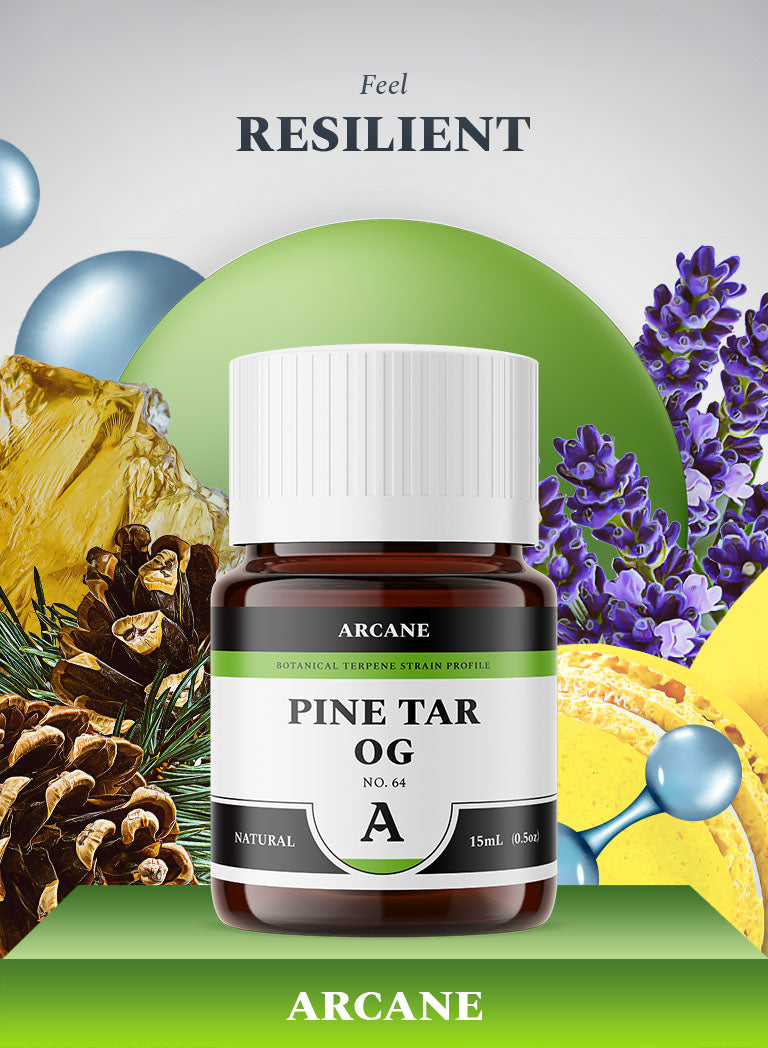 Arcane Aromatics Pine Tar OG Natural Botanical Terpene Strain Profile. Indica Hybrid Cannabis Centric Natural Terpenes. Arcane: Live Terpenes